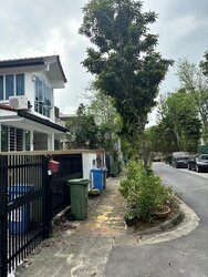 Mount Sinai (D10), Terrace #456399101